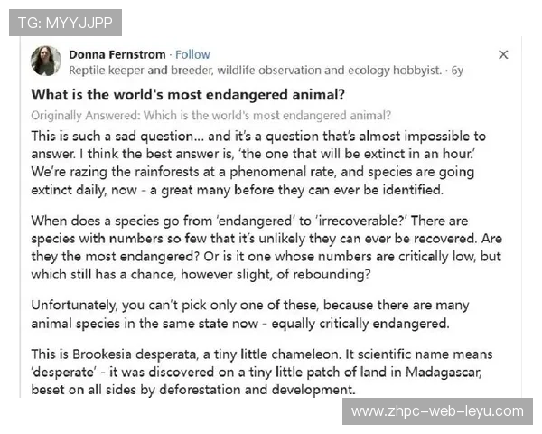 从岌岌可危到柳暗花明，海牛保级只剩最后一步，海牛濒危等级