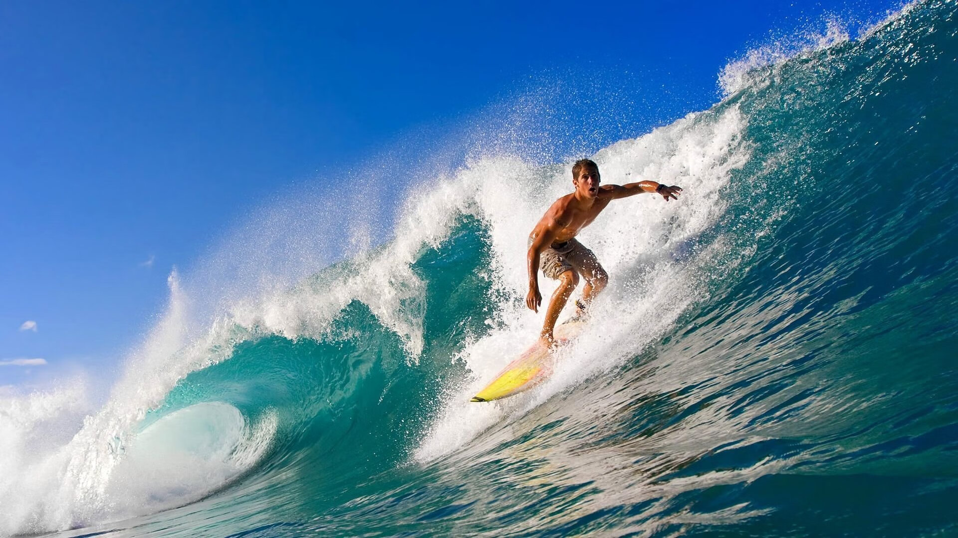 乐鱼app下载-“2025新加坡世界游泳锦标赛：水上芭蕾给你带来惊艳演出”